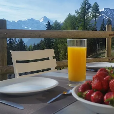 Chalet Le Dahlia - 4 Vallees Les Collons