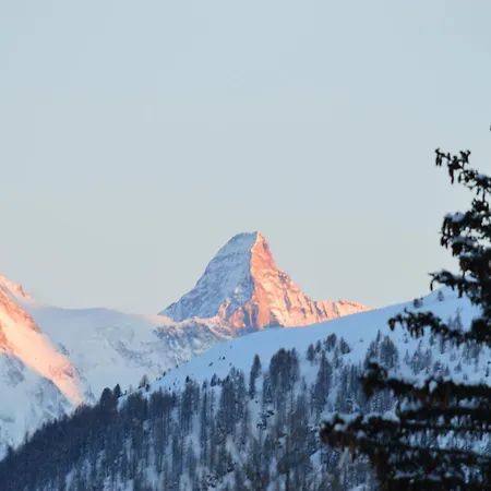 Le Dahlia - 4 Vallees Chalet *