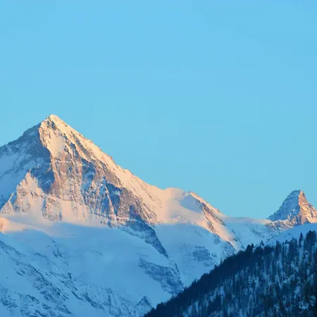 Le Dahlia - 4 Vallees * Les Collons