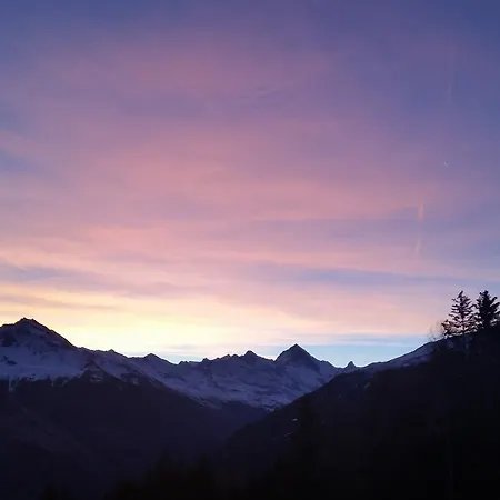 Chalet Le Dahlia - 4 Vallees