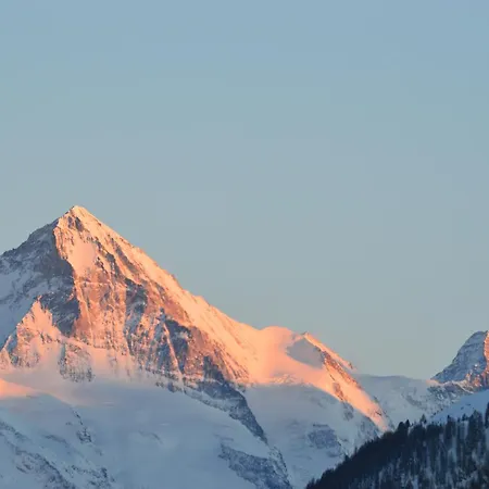 Domek alpejski 